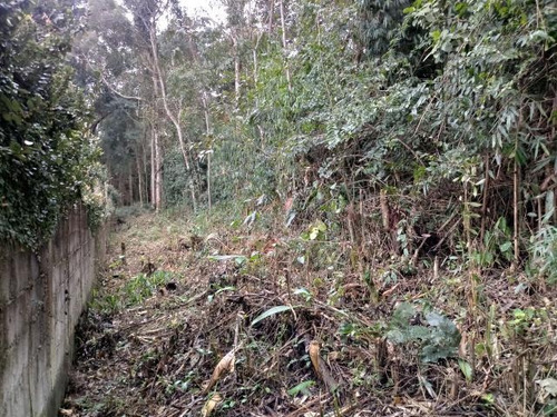 Imagem 6 de 6 de Cód 3894- Maravilhoso Terreno Em Ibiúna. - 3894