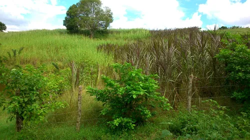 Finca De 25 Hec A 15 Minutos De Luruaco