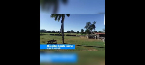 Imagem 22 de 30 de Fazenda 3366 Hectares, 5 Poços Artesianos, 4 Reservatórios De Agua, 42 Bebedouros De 12mil Litros, 80 Casinhas De Cocho Cobertas, 2 Corredores Centrai - Fa00043 - 69928786