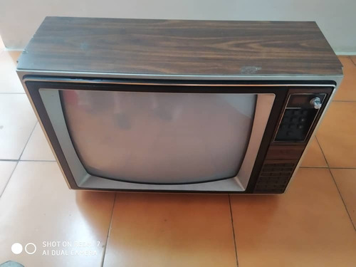 Imagen 5 de 10 de Televisores Culones 100% Activos Aproveche Casa O Negocio