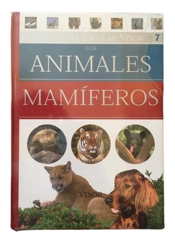 Enciclopedia Escolar Visor Varios Tomos 1 Al 10 Libro Atlas
