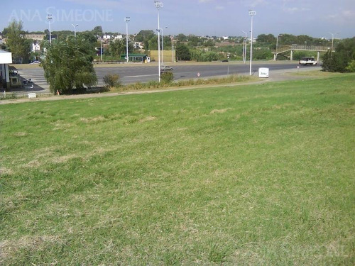 Imagen 13 de 30 de Excelente Terreno De 17 Ha, Sobre Camino Del Buen Ayre