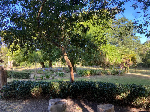 Venta De Fondo De Comercio - Restaurante - HosterÃa- La Querencia De Monasterio - Lezama