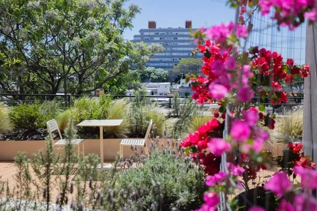 Alquiler Apartamento 2 Dormitorios La Blanqueada Con Garaje · Foto 4