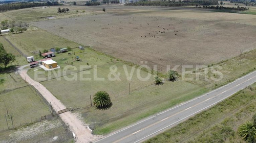 Venta De Chacra En Canelones