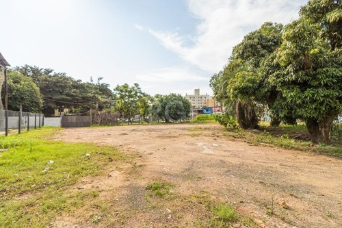 Terreno - Cavalhada - Ref: 561826 - L-ca4875