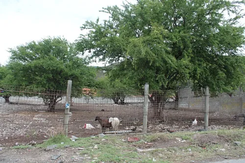 Terreno En Venta. Ejido, Merida.