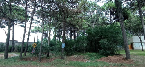Vendo Terreno Lote En Boulevard Eros Náyades