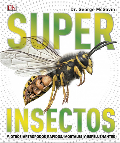 Libro Super Insectos - Vv.aa.