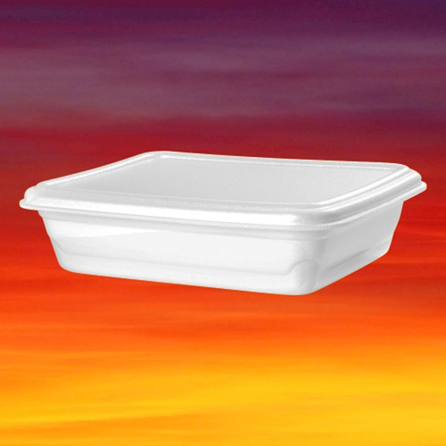 Imagem 8 de 8 de Bandeja Isopor Retangular 500ml C/ Tampa Com 100 Uni - Dm7