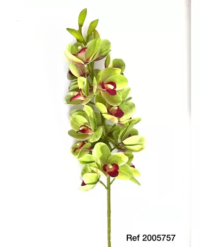 Orquídea 3d Verde Toque Real - 19 Pétalas Artificial