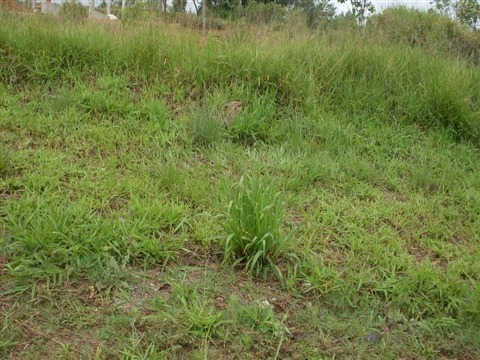 Imagem 9 de 10 de Área À Venda No Éden - Sorocaba/sp - Ar0177 - 820643
