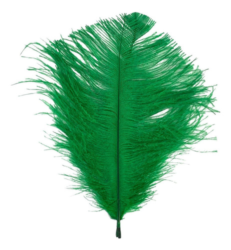 Pluma De Avestruz Confete 5 A 12 Cm Carnaval Artesanato 009 Cor Verde Bandeira