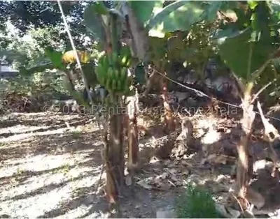 Terreno en venta