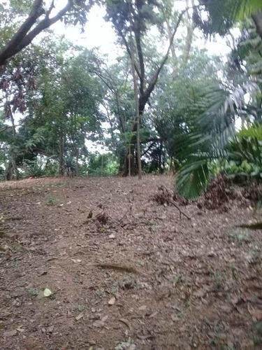Imagem 2 de 6 de Terreno, Centro, Santana De Parnaíba - R$ 1.600.000,00, 0m² - Codigo: 177500 - V177500