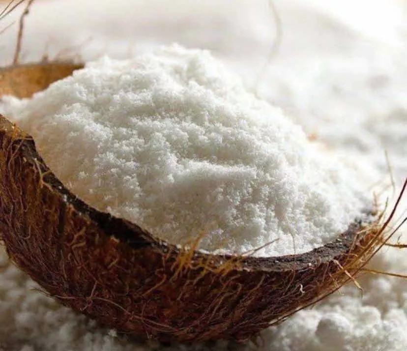 Segunda imagem para pesquisa de leite de coco em po 1 kg