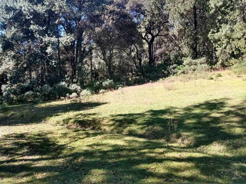 Imagen 5 de 7 de Terreno Con Excelente Ubicacion