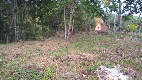 Fazenda 34 Hec. À Venda Em Taperoá-bahia