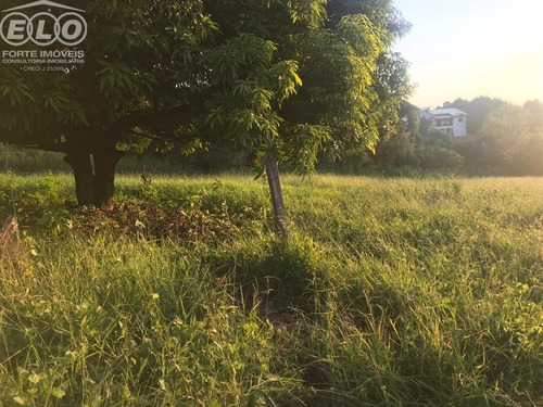 Imagem 2 de 7 de Terreno - Tr02045 - 69523579