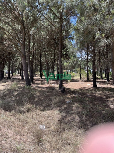 Imagen 5 de 10 de Terrenos Financiados En Nilo Park , Lomas De Solymar