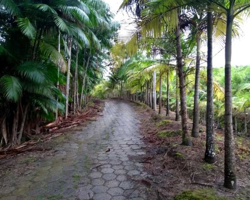 Imagem 6 de 30 de Fazenda - 0132 - 32820420