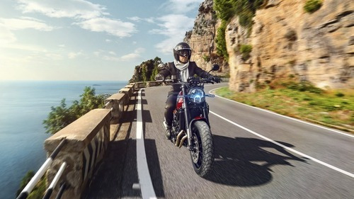Imagen 8 de 23 de Benelli Leoncino 500 Motozuni Exclusivo