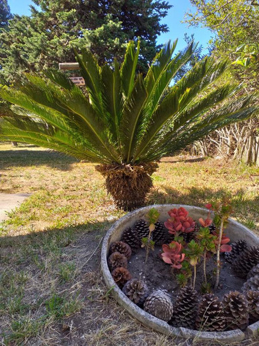 Casa En Venta - 2 Dormitorios 2 Baños - Cochera - 562mts2 - Santa Teresita