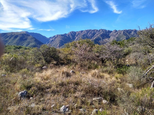 Imagen 6 de 6 de Terreno Campo En Venta Ubicado En Cortaderas, Chacabuco