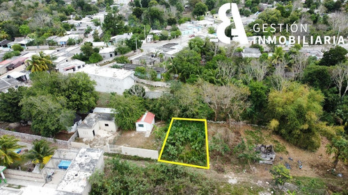 Imagen 3 de 8 de Venta De Terreno En Tizimin, Yucatán. Ctv48.