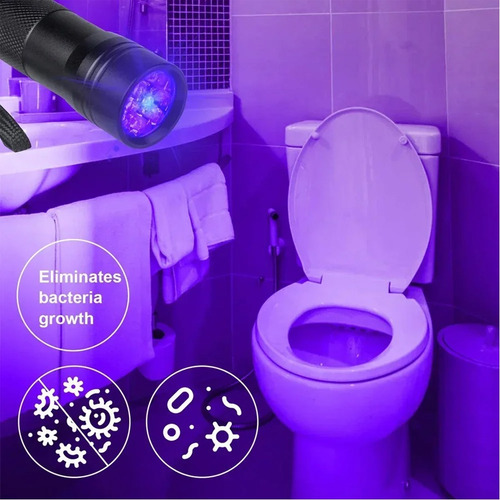 Lámpara De Luz Uv, Mini Linterna De 12 Led, Detector De Rayo