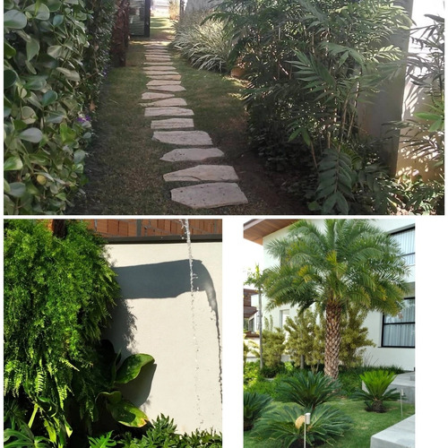 Imagem 3 de 5 de Execução E Manutenção De Jardim, Vendas De Plantas ,insumos
