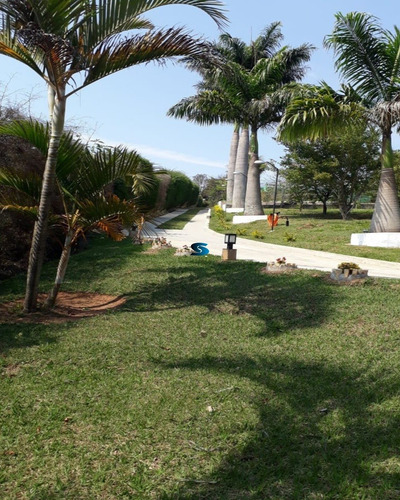 Imagem 20 de 30 de Chácara - Ch00900 - 69735763