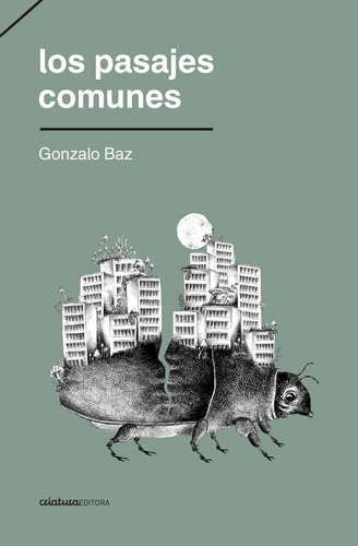 Los Pasajes Comunes  - Gonzalo Baz