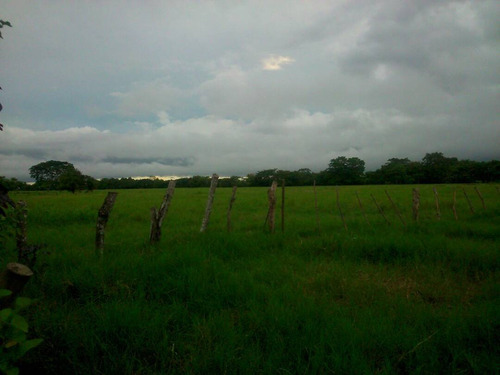 Imagen 9 de 22 de Finca Sector Caroní Estado Barinas En Venta