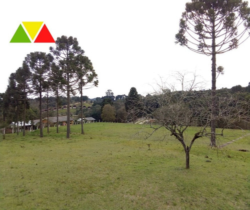 Imagem 23 de 28 de Chacara - Ch00145 - 69489936
