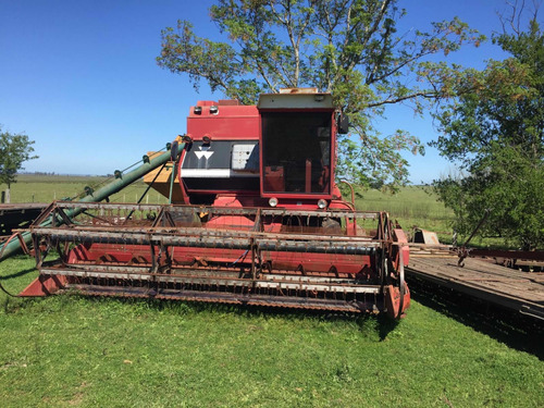 Cosechadora Massey Ferguson 5650