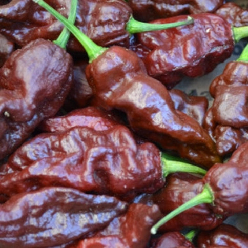 Salsa Barbacoa Picante Mandinga 360cc