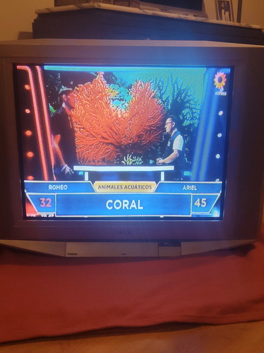 Televisor Sony Trinitron 29 Pulgadas Modelo Kv-29fs140