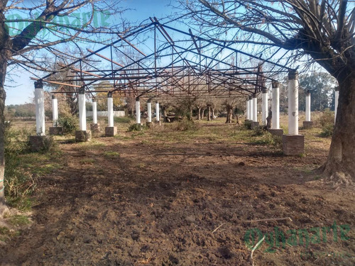 Imagen 12 de 21 de Venta De Campo De 23 Hectáreas En General Rodriguez.