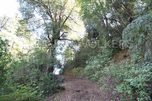 Hermosas Parcelas En Palguin Con Orilla De Rio Sin Comisió
