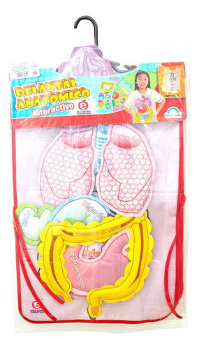 Juego Didáctico De Anatomía Del Cuerpo Humano