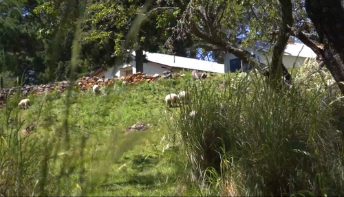 Imagen 23 de 30 de Vendo Campo Athos Pampa 62hs Con 3 Arroyos 3 Casas Galpones