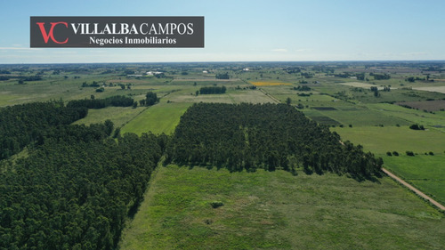 Establecimiento Rural Productivo En Canelones - 107 Hectáreas, Infraestructura Completa Y Recursos Hídricos