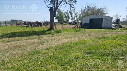 Chacra En Venta De 34 Has En Lezama. Ideal Para Producir Y Disfrutar
