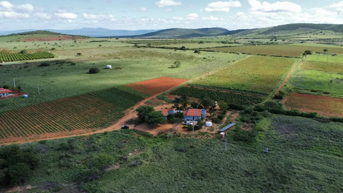 Oportunidade Única! Sítio De 12 Hectares Porteira Fechada -
