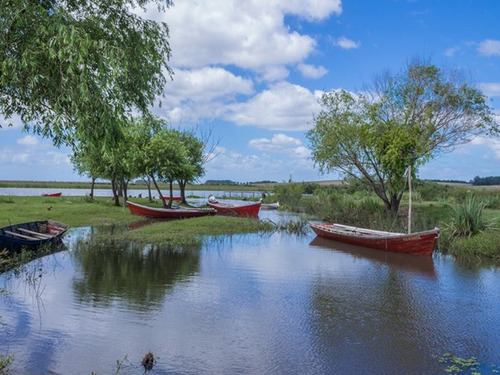 Vendo Terreno En Balneario La Riviera Rocha, Camponet Uruguay 