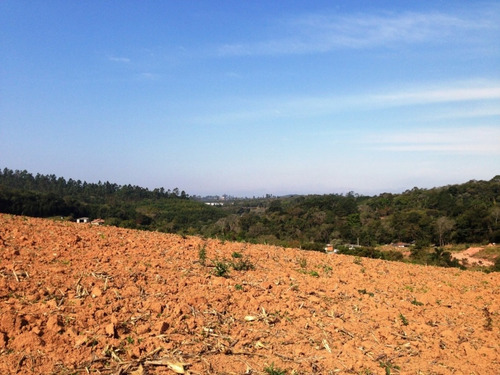 Imagem 3 de 23 de Terreno De 60.000 Mts² Apenas 100 Mts Da Bunjiro Nakao Cod: 0488
