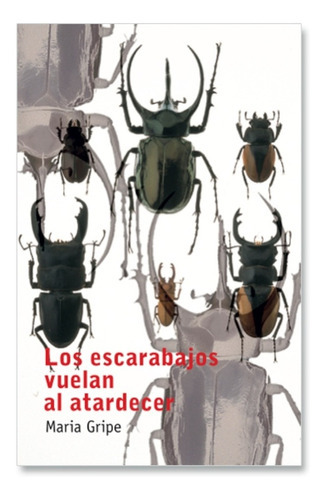 Los Escarabajos Vuelan Al Atardecer / Maria Gripe