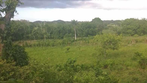 Finca De 680 Tareas En Guanuma