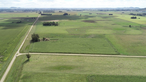 Imagen 8 de 30 de Quinta De 8 Has. A 1.800 Mts Ruta 226 - 100 % Agrícola